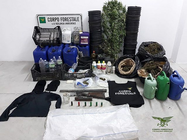 Armi e droga nell’azienda agricola: arrestato un bracconiere di Nurri