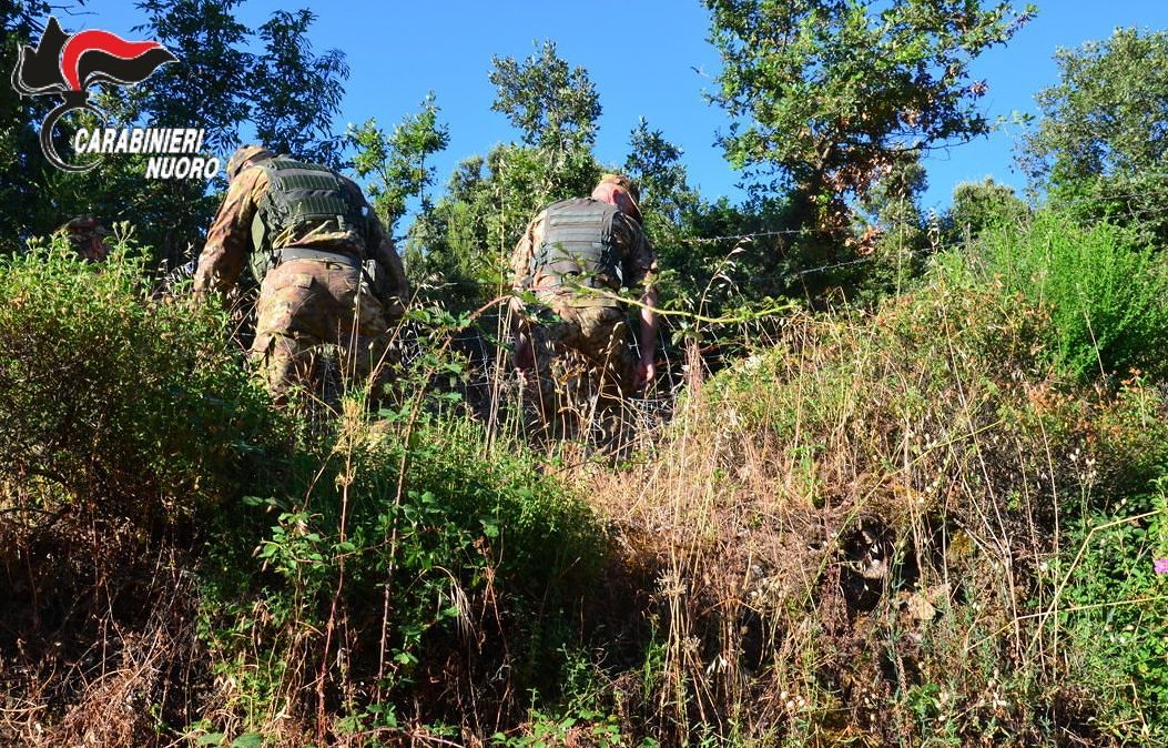 Ritrovati i 5 escursionisti tedeschi dispersi sul Monte Albo a Lula: stanno bene