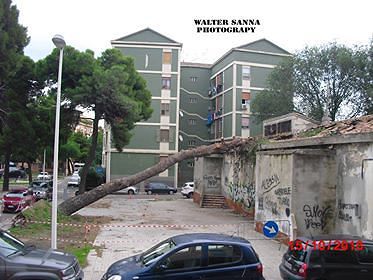 “L’albero crollato in via Is Mirrionis dopo l’alluvione è ancora lì: è così difficile fare pulizia?”