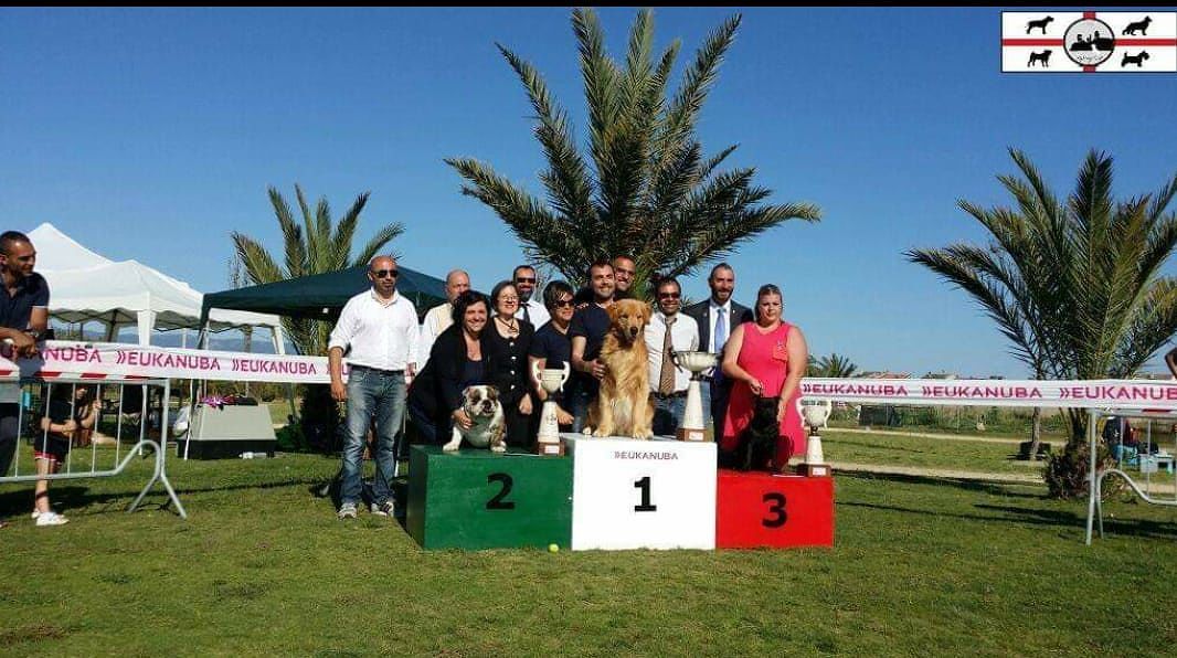 Selargius pronta a ospitare la quinta edizione dell’Esposizione Regionale Canina