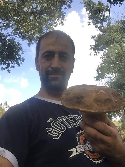 Oliena, porcino da record da 581 grammi: il fungo da record trovato da Enea Puddu