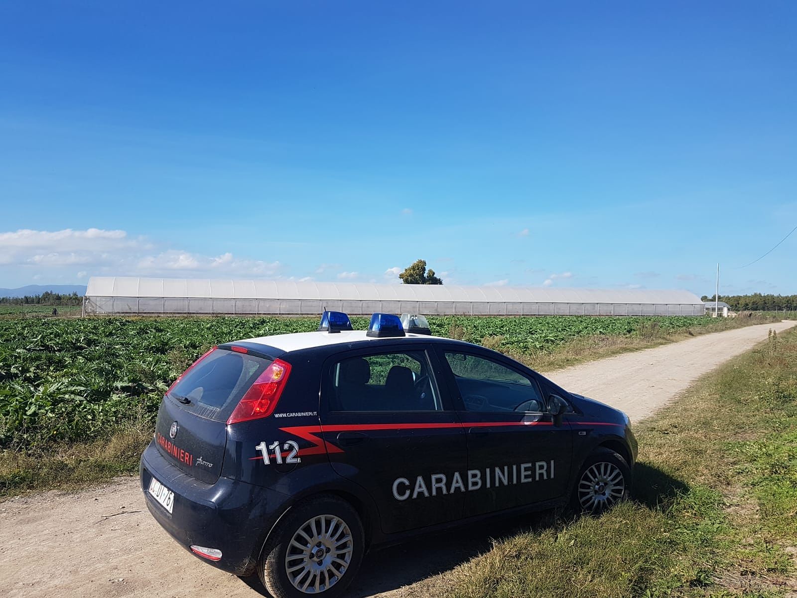 Sardara, 11 irregolari in un’azienda agricola: maxi sanzione da 33mila euro