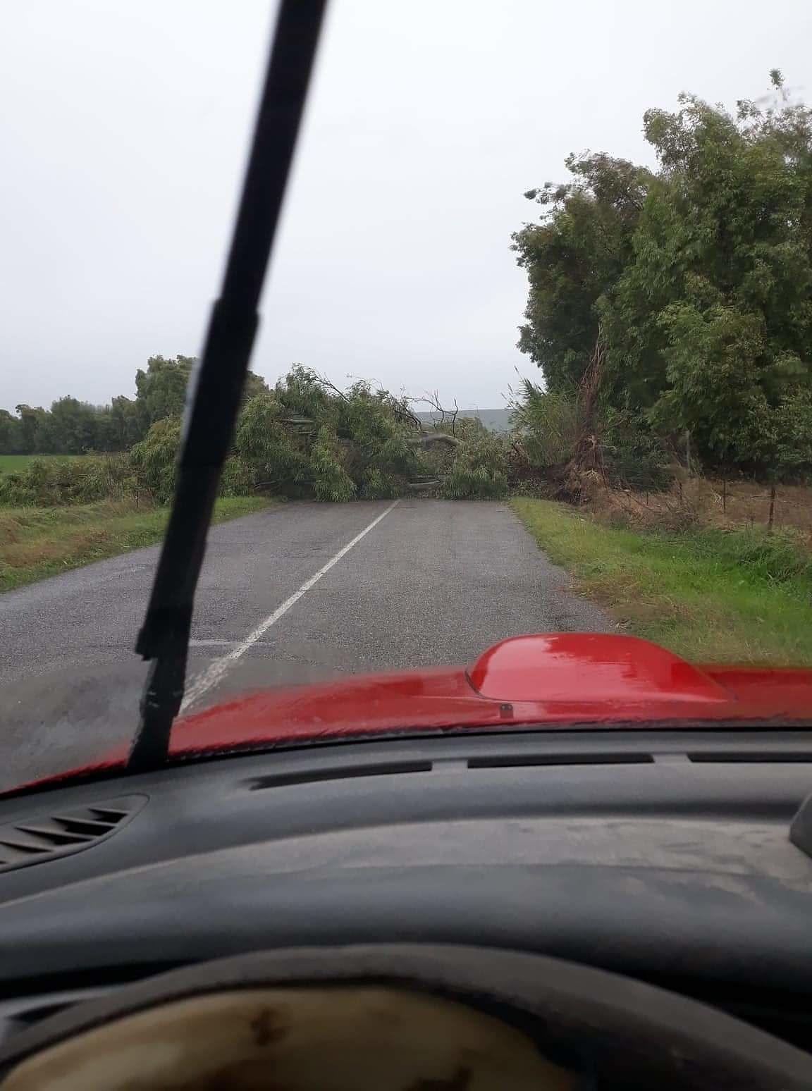 Maltempo, scuole chiuse ad Arborea. La sindaca Pintus: “Situazione di potenziale pericolo”