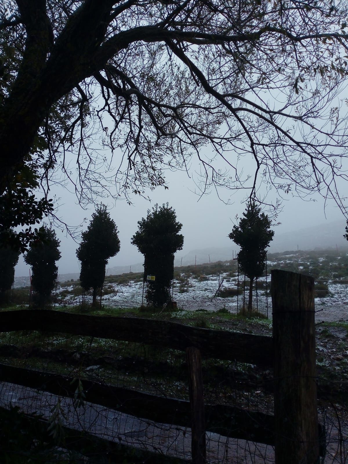 Prima magica neve in Sardegna, cime imbiancate a 1400 metri: “Che spettacolo!”