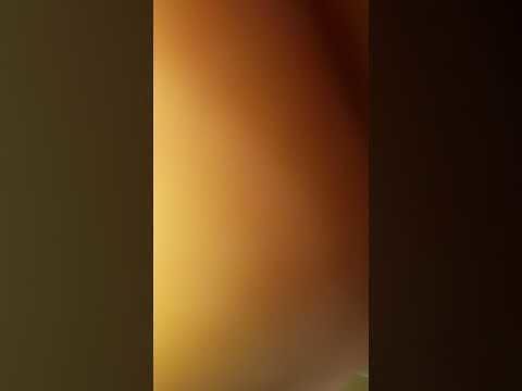 La disperazione dei pescatori di Santa Gilla, in diretta il VIDEO: “Guardate, così è morto lo stagno di Cagliari con le arselle”