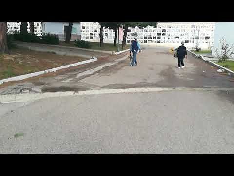 Strade bucate, scalinate mezzo crollate e transenne: tutte le “trappole” del cimitero di Cagliari