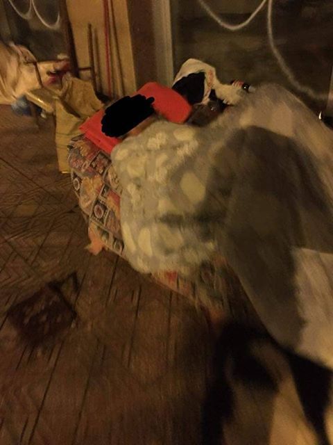 Nemo, dorme da mesi in via Dante col suo amico a quattro zampe: aiutiamolo, in questa Cagliari multietnica