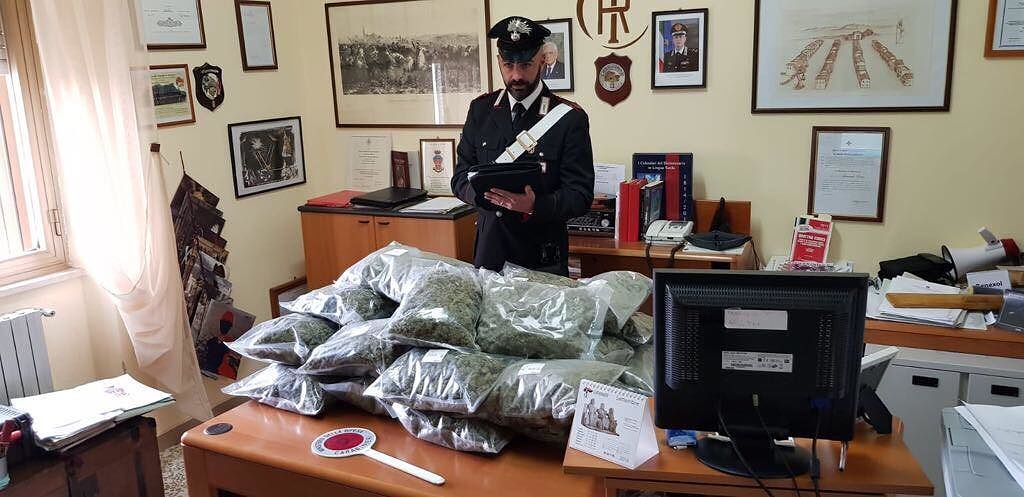 Con 15 chili di marijuana nell’auto bruciano un posto di blocco: due arresti a Borore