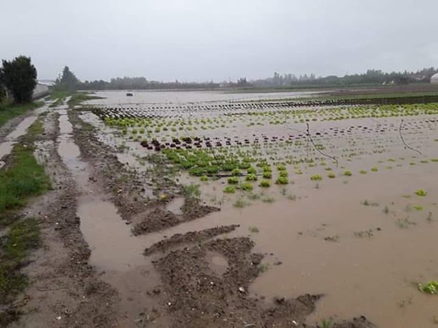 Sestu, pericoloso ingrossamento del rio Su Pardu: “Criticità in paese, sos agli abitanti”