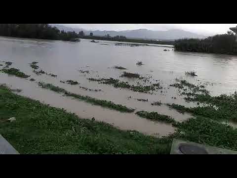 Situazione drammatica a Decimomannu: fiume straripato, ponte sommerso, campagne inondate (VIDEO)