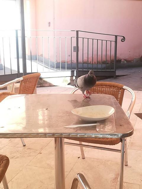 Cagliari, lavori e caos nella facoltà di Giurisprudenza. Gli studenti: “In biblioteca il tetto è a rischio…”