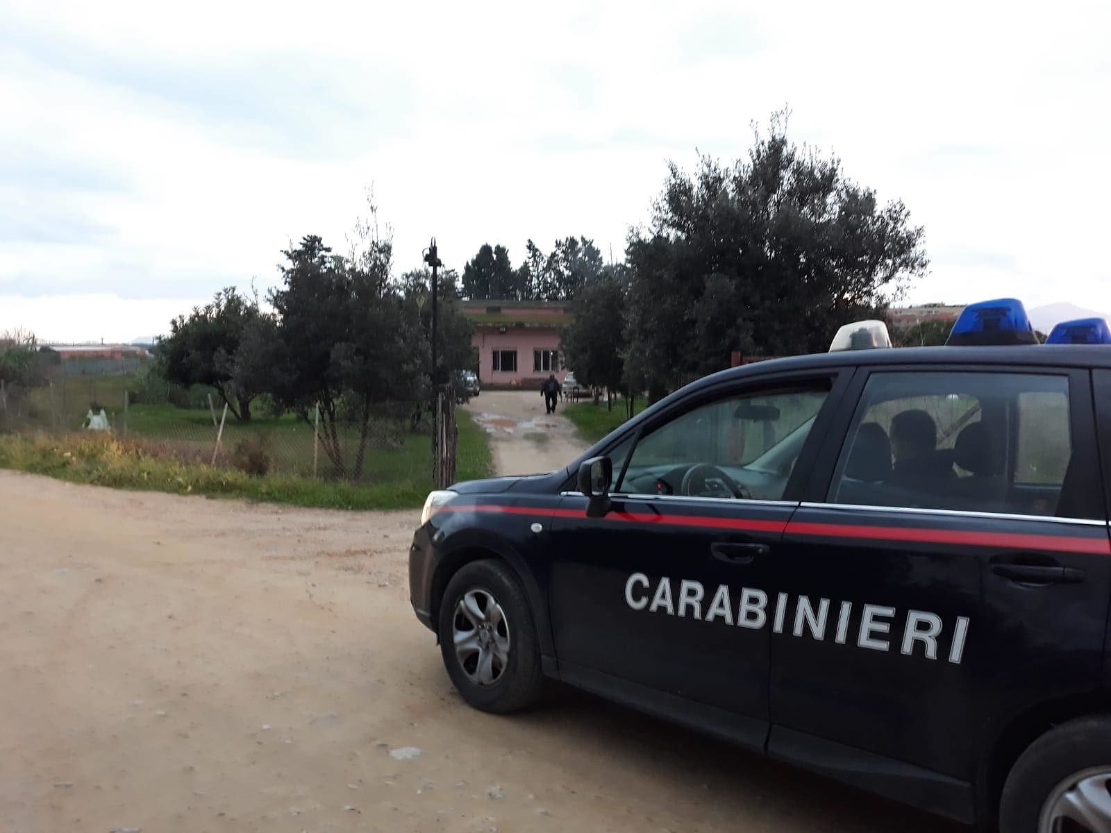 In casa 32 piante di marijuana: nei guai minorenne a Sestu