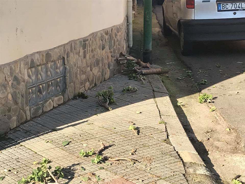 Raid vandalico a Settimo: devastata piazza della Musica
