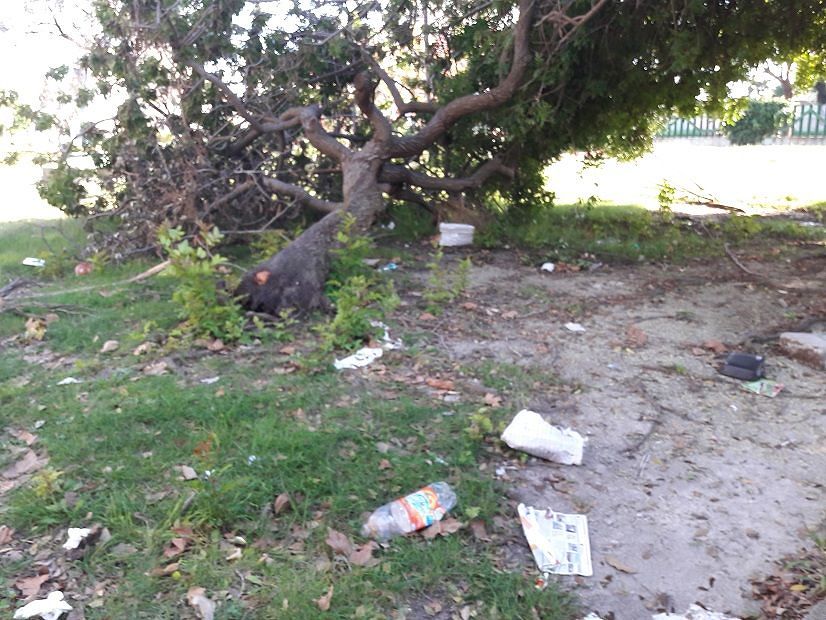 Parco Europa a Quartu, l’affondo del Grig: “Ma è una discarica abusiva o una zona verde?