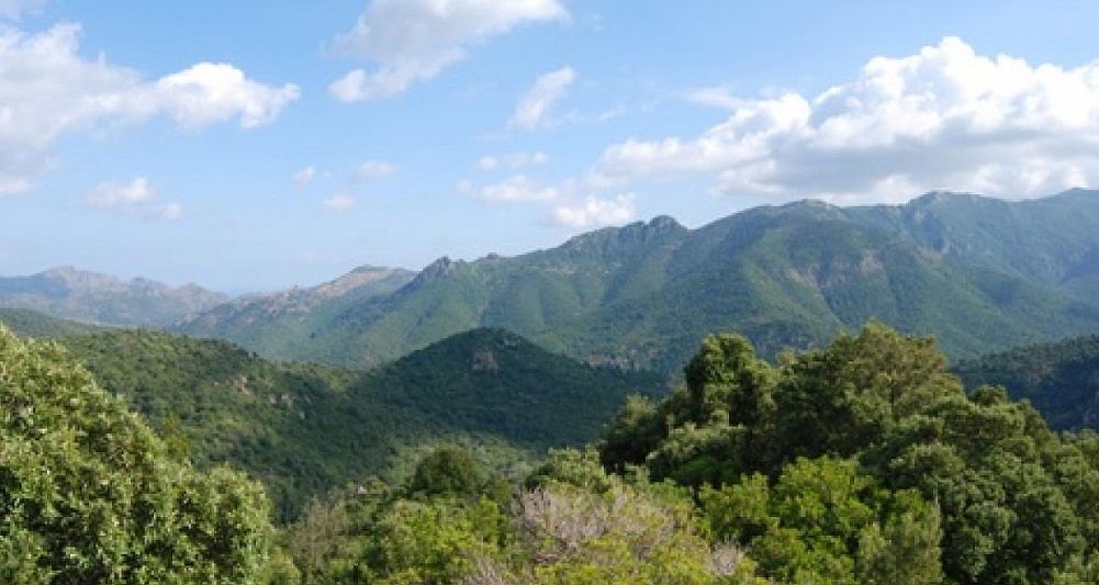 Domus de Maria, cercatore di funghi disperso nei boschi