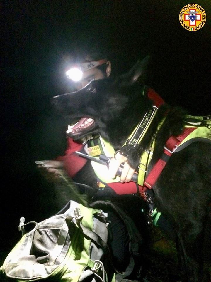 Proseguono senza sosta le ricerche del cercatore di funghi disperso a Domus de Maria