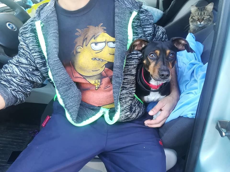 Il dramma di Andrea, 38enne di Cagliari: “Vivo in auto con i miei animali a Tuvumannu, sono alla canna del gas”