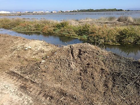 Carloforte, il Grig: “Che cosa sono quei lavori alle Saline?”