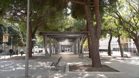 Cagliari, Cilloccu: “Via i gazebo: Corso alle famiglie. Mercatini in piazza Carmine e piazza Giovanni XXIII”