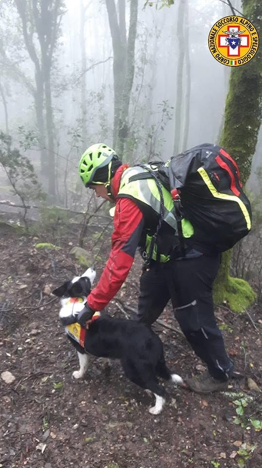 Pula, scomparso un altro cercatore di funghi nei boschi di Is Cannoneris