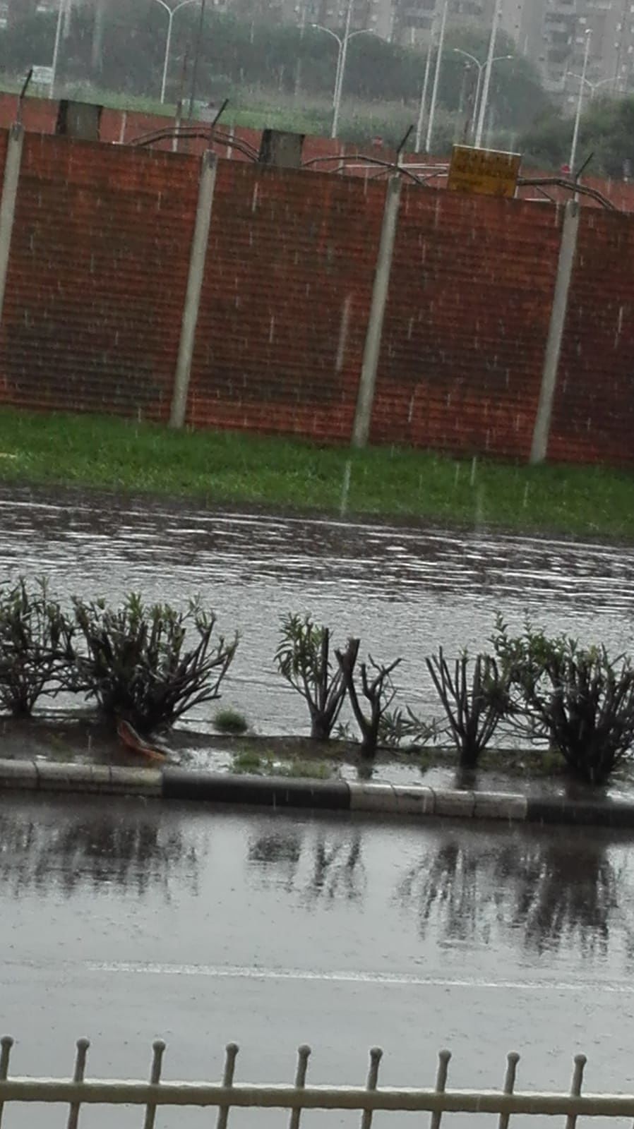 Viale Poetto allagato, inondata anche la rotonda del Margine Rosso