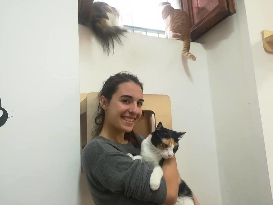 Cagliari, la scommessa vinta del Cat Cafè di Cristina: “Qualcuno come ha visto i gatti è andato via, ma questa è casa loro”