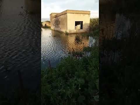 Allagamenti da incubo a Sestu, il video denuncia: “La sindaca faccia qualcosa, guardate a Su Pardu…”.