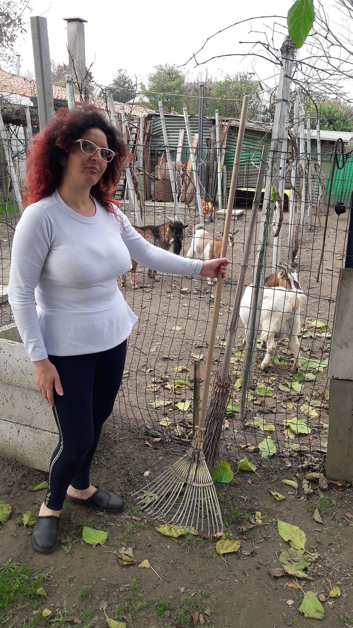 L’insulto alla Sardegna della “sosia” di Raffaella Fico: “Sembrava di vivere nel quarto mondo”