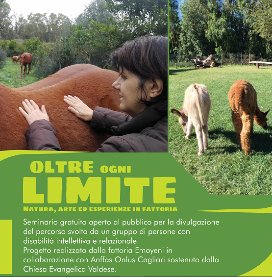 “Oltre ogni limite”, l’aiuto degli animali per migliorare la vita dei disabili: il progetto a Quartucciu