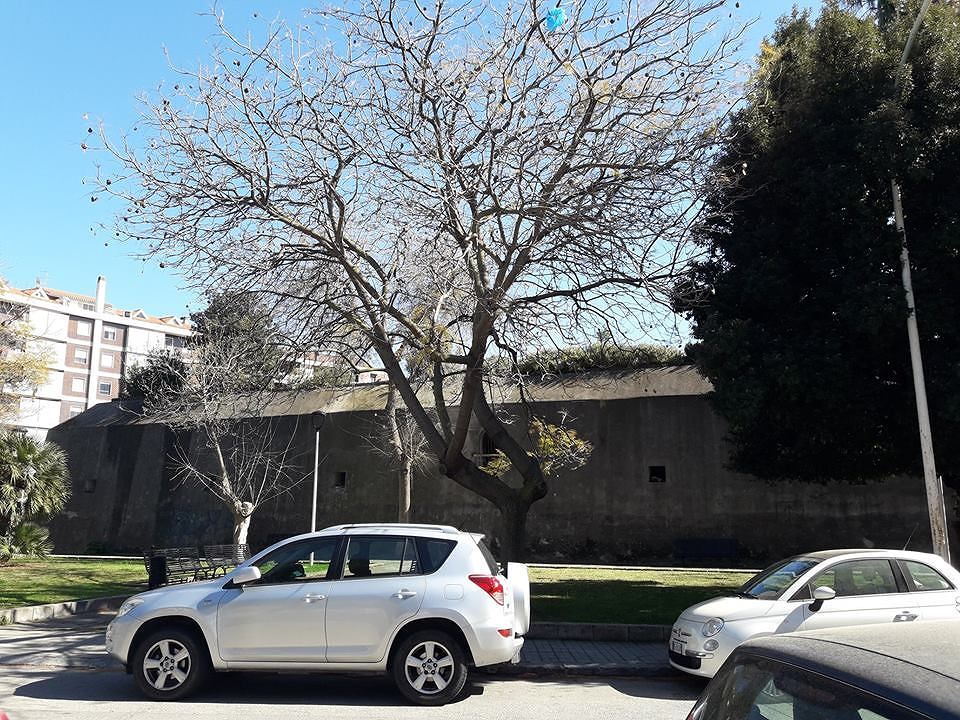 Cagliari, nel nome della madre morta in un incidente: benefattore dona un giardino e un’area giochi alla città