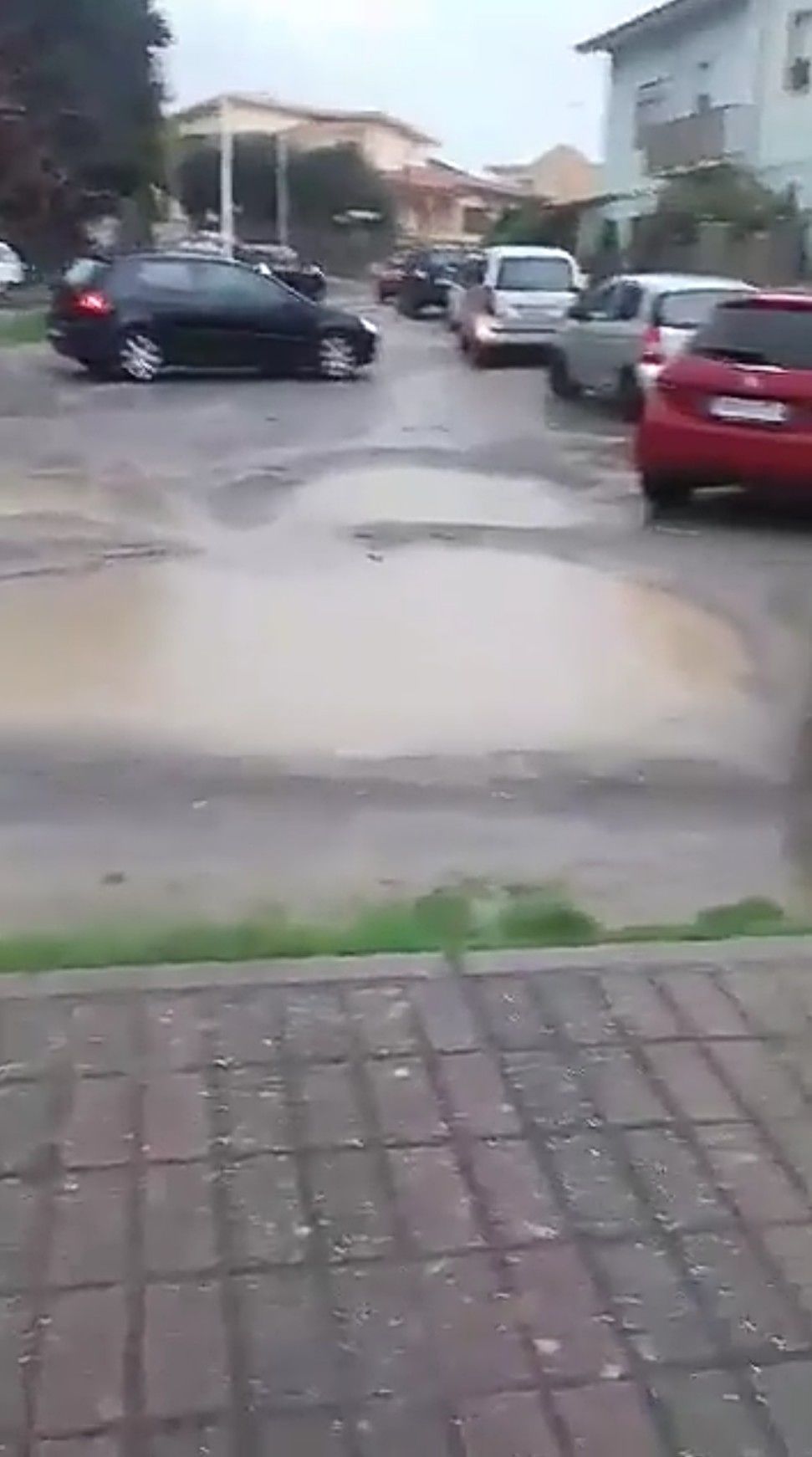 Maltempo, la conta dei danni nel Sulcis e nell’Oristanese: slalom tra pali e alberi ko