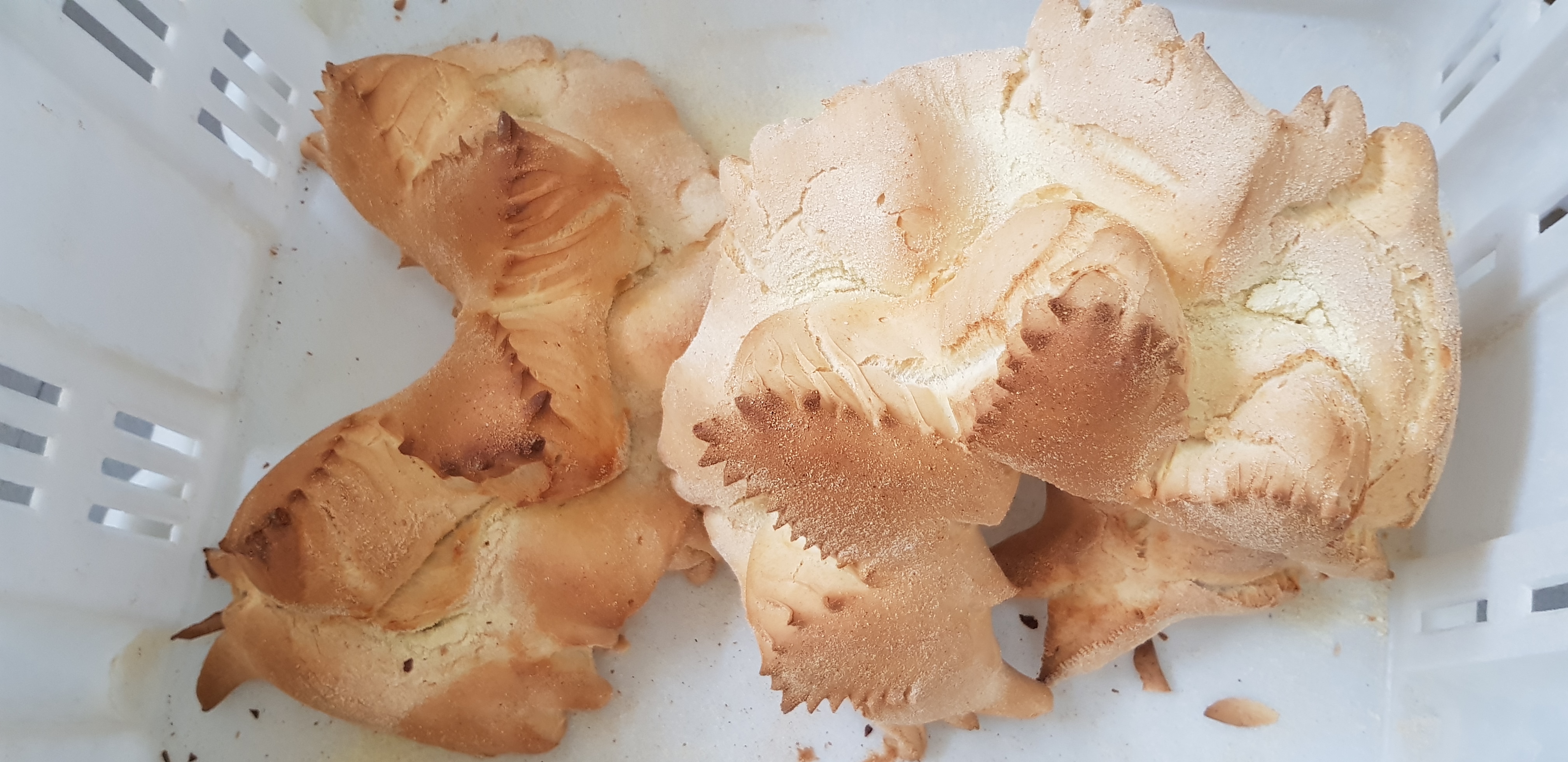 Stop al pane surgelato spacciato per fresco. Norma nazionale tutelerà 930 fornai sardi