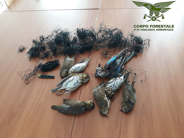 Selvaggina e strumenti di cattura illegali: rischia un anno di carcere un 45enne di Capoterra