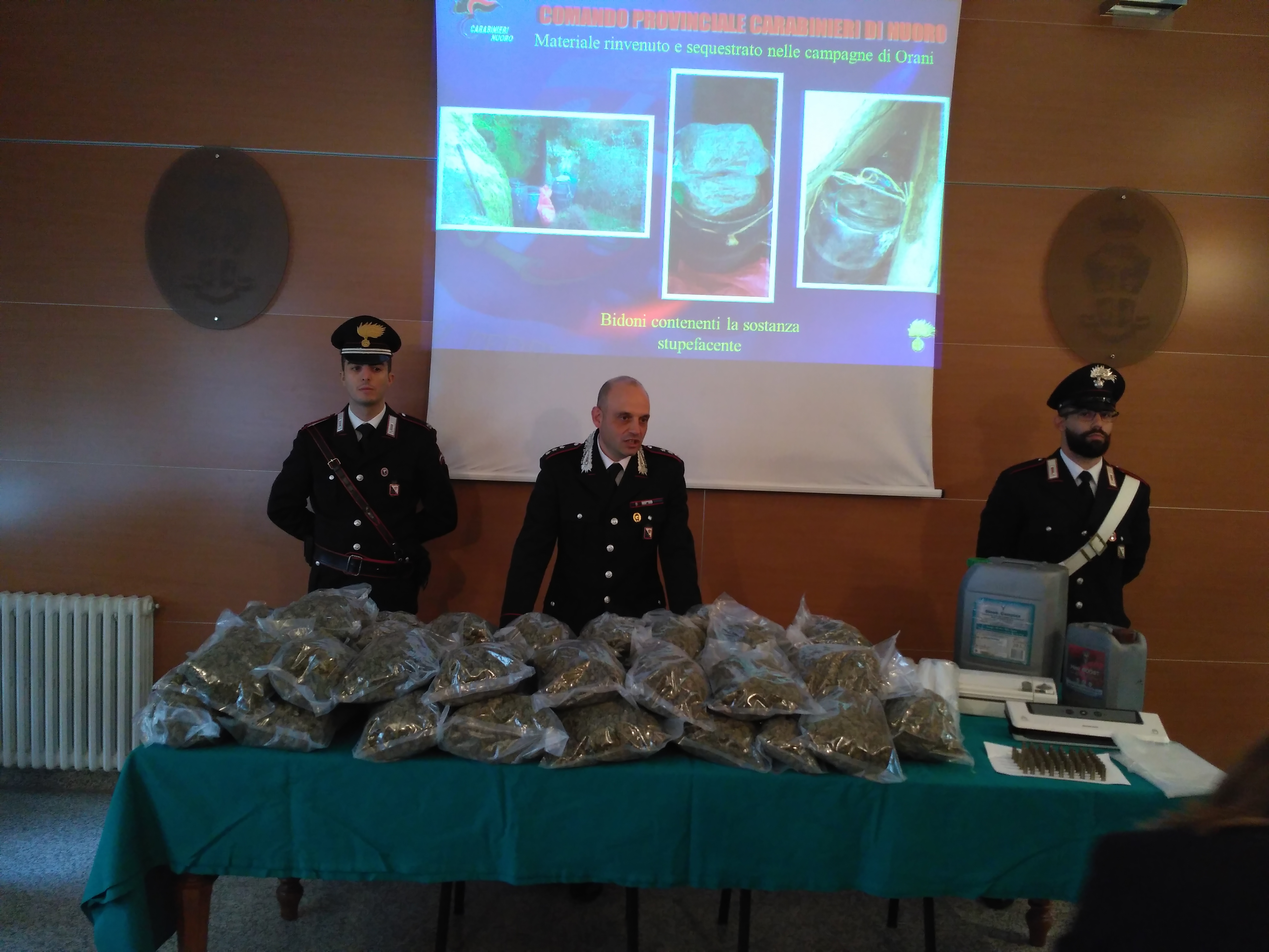 Ventitrè chili di marijuana nascosti nell’ovile: in manette un allevatore a Orani