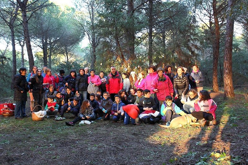 San Vero Milis, un albero di Natale nella pineta di “Is Arenas”