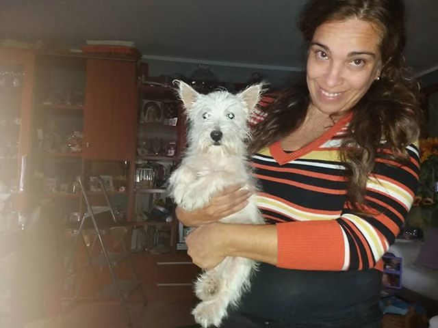 Tanti i cani scappati dopo i botti di Natale: sos per trovare Charlie, scomparso a Monastir