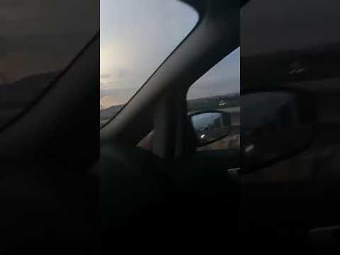 Cagliari, gregge di pecore invade viale Marconi: traffico in tilt