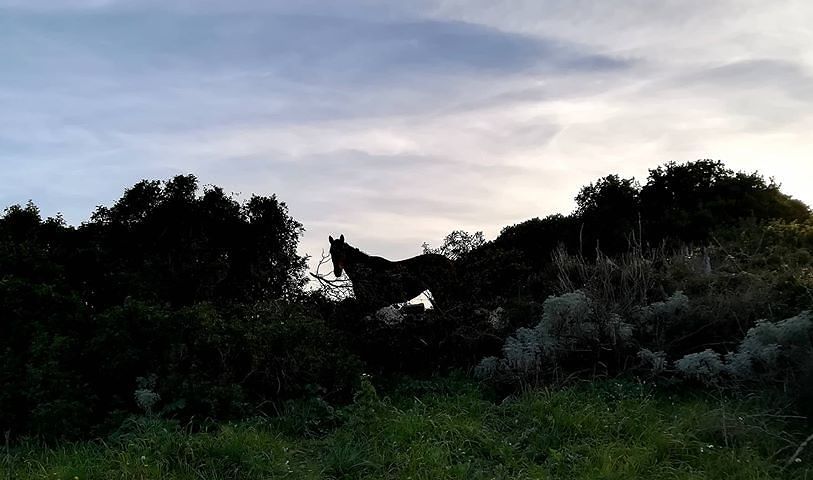 I colori spettacolari della Marmilla, tra storia e archeologia: paradiso delle escursioni