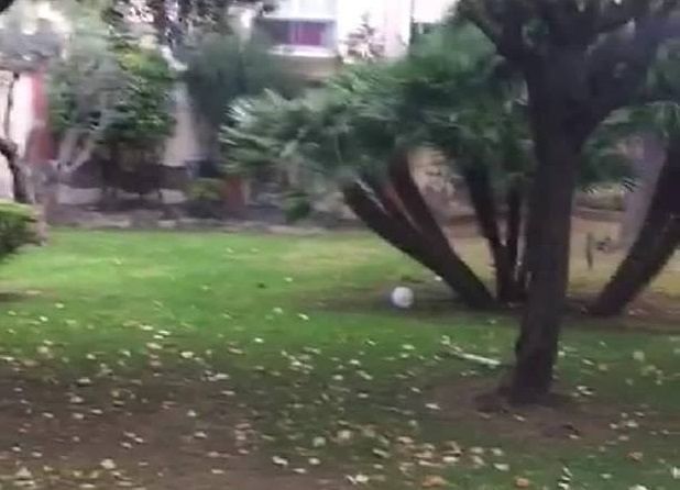 Cagliari, vandali devastano il parco alla Fonsarda: “Distrutti i lampioni. Ora si potrà spacciare al sicuro”