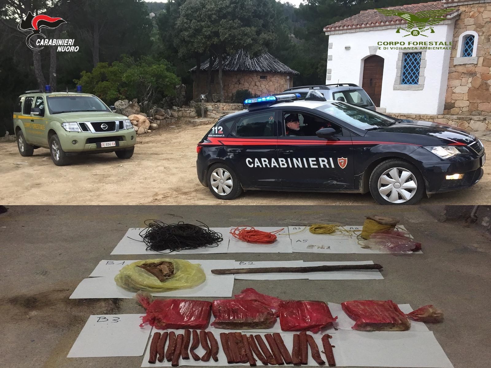 Torpè, 15 chili di esplosivo nascosto in un anfratto roccioso nelle campagne del paese