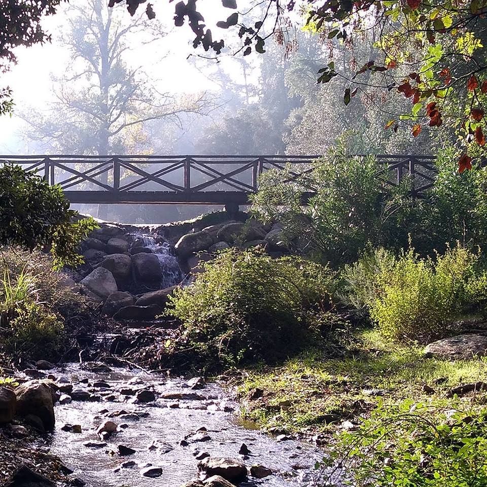 “Il parco ciclabile della Sardegna deve passare anche per la vecchia SS125”, via alla petizione online