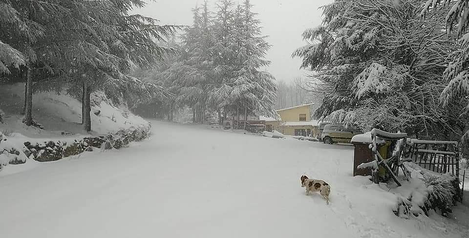 La magia del Gennargentu imbiancato: ecco le cartoline da favola