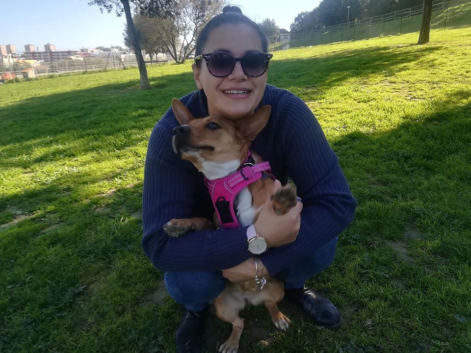 “Un cane è importante come un parente, anche a Cagliari chi li uccide deve finire in carcere”