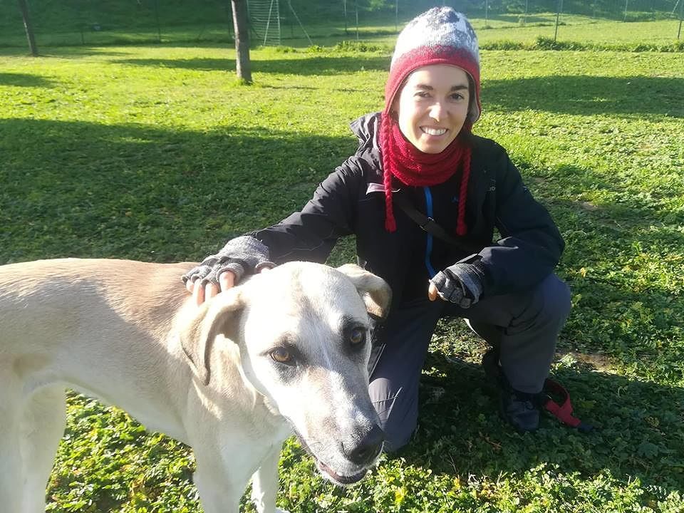 Francesca di Cagliari: “Nue è la mia compagna di vita, chi avvelena i cani deve pagarla cara”