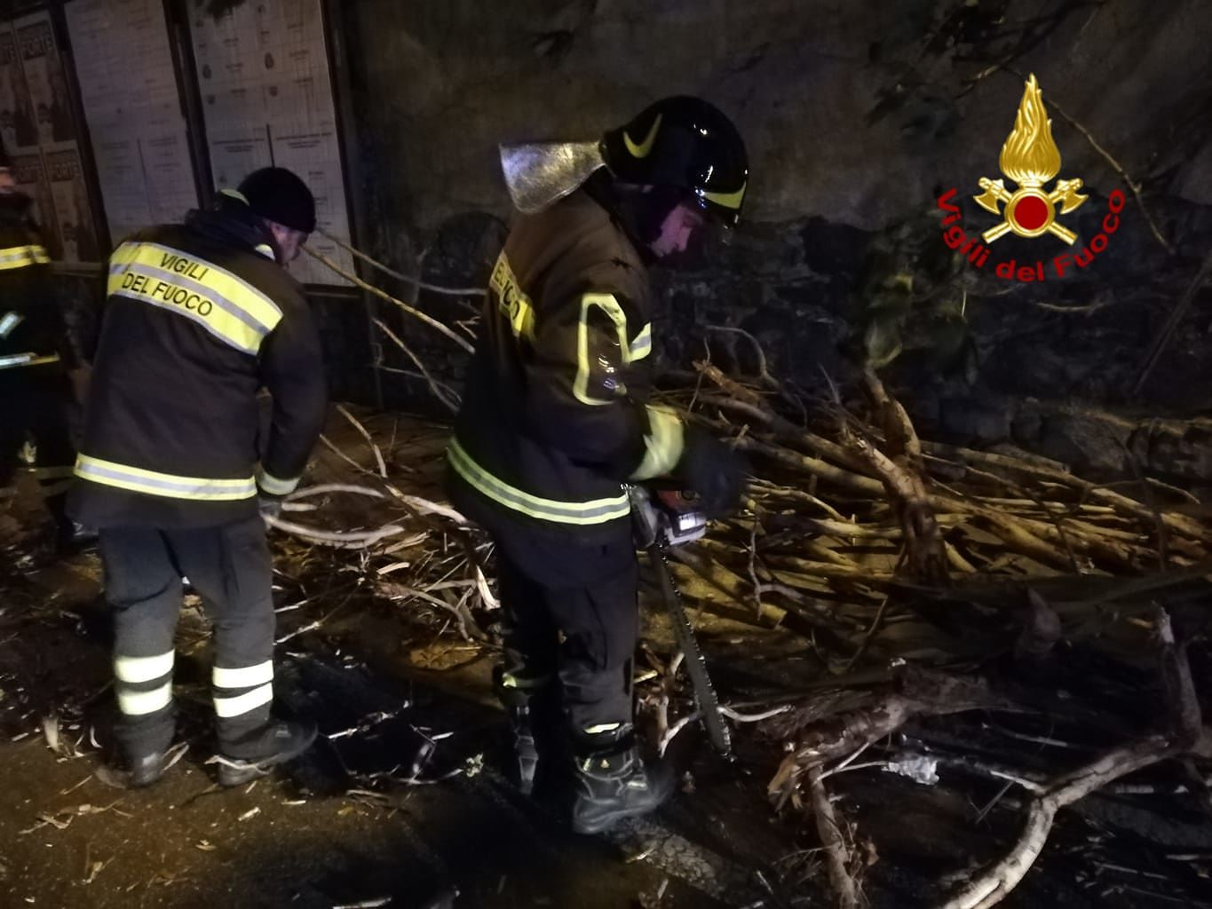 Attimi di paura in via Dei Valenzani a Cagliari: un grosso ramo crolla sulla strada