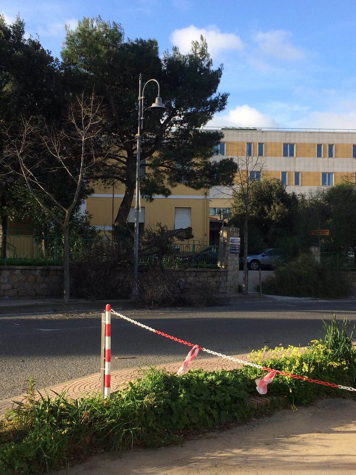 Muravera, pericolo scampato al San Marcellino: il vento fa crollare due alberi