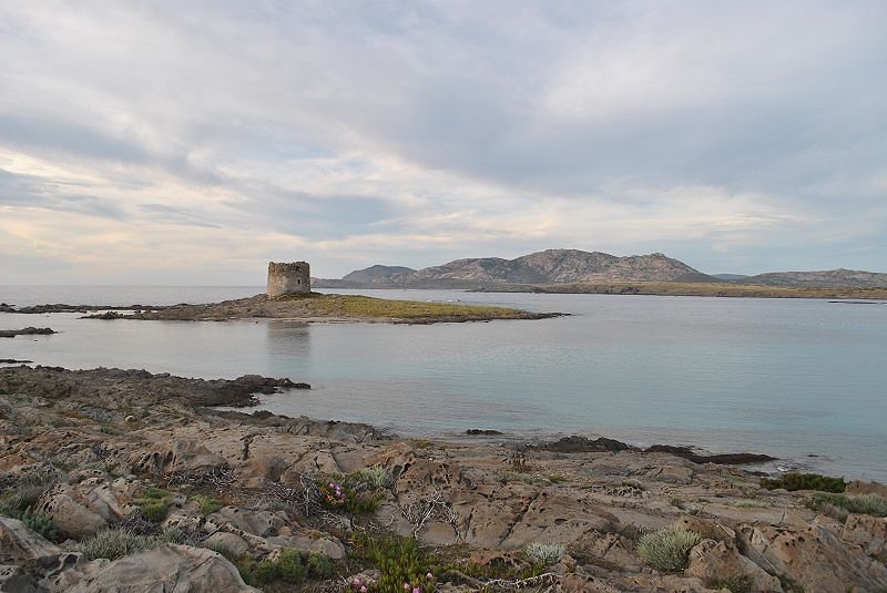 “Un’area marina protetta allargata nel mare di Stintino”: l’idea del comune