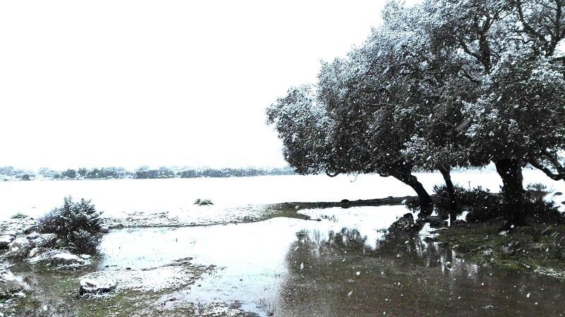 Neve, vento di burrasca e mareggiate sulla Sardegna: allerta meteo “allungata” di cinque ore