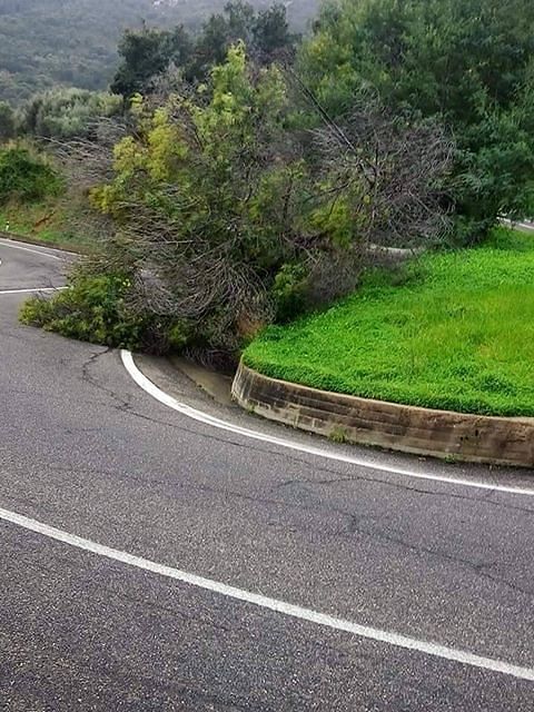 Vento a 140 km all’ora nel Sud Sardegna, crollano alberi: nuova perturbazione all’orizzonte