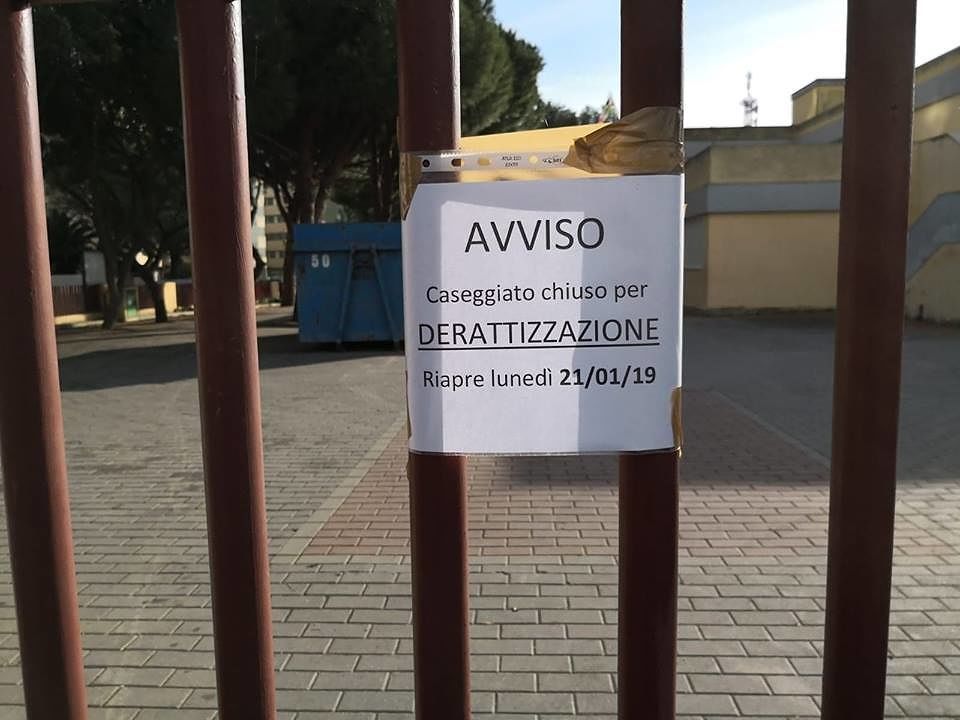 Su Planu, topi a scuola tra i bimbi: istituto chiuso per 5 giorni, genitori in rivolta